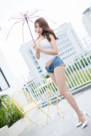 如蝶翩翩 电视剧_高清免费高清观看