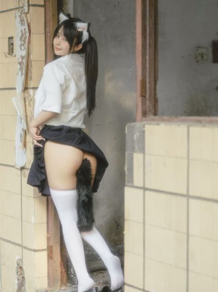 枫叶红了_DVD手机在线看